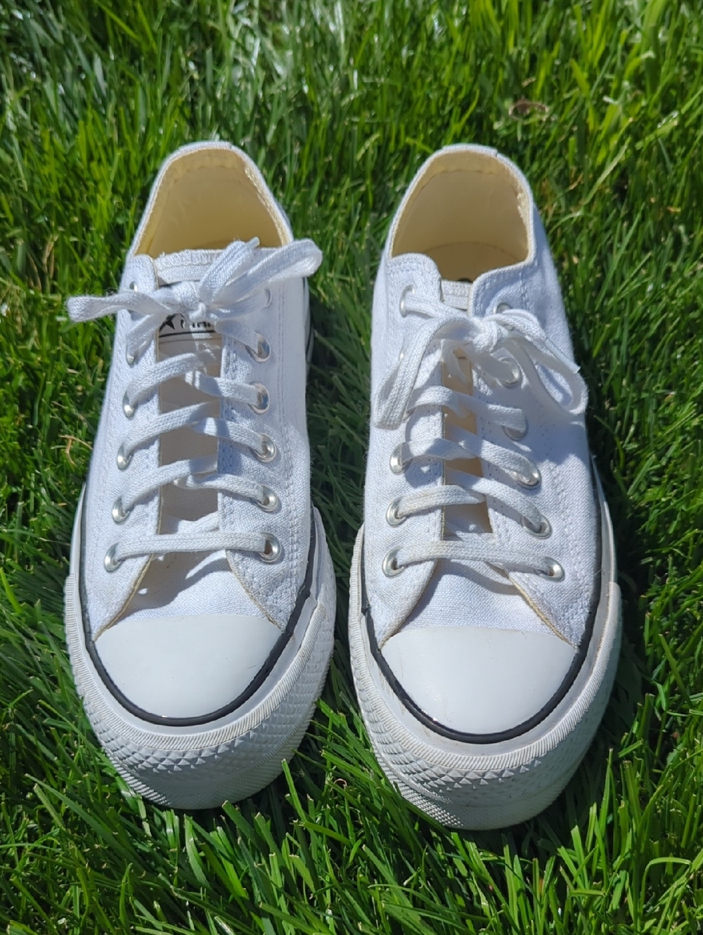 White Canvas Low-Top Sneakers - Chunky Heel Classic Casual Shoe